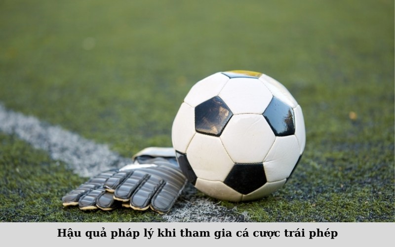 Hậu quả pháp lý khi tham gia cá cược trái phép