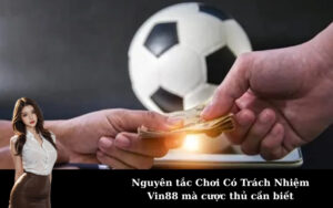 Nguyên tắc Chơi Có Trách Nhiệm Vin88 mà cược thủ cần biết